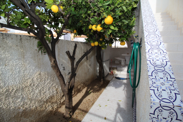 木屋 出售 在 San Miguel de Salinas