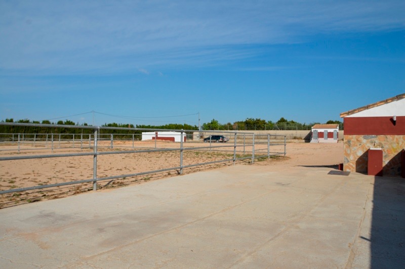 Finca rústica con gran parcela y 12 establos para caballos en San Miguel de Salinas