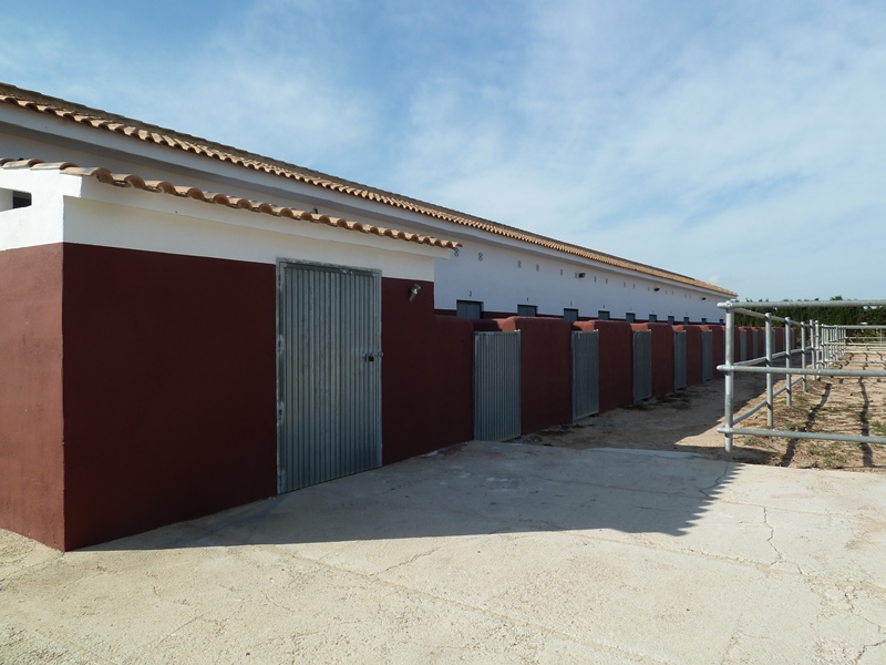 Finca rústica con gran parcela y 12 establos para caballos en San Miguel de Salinas