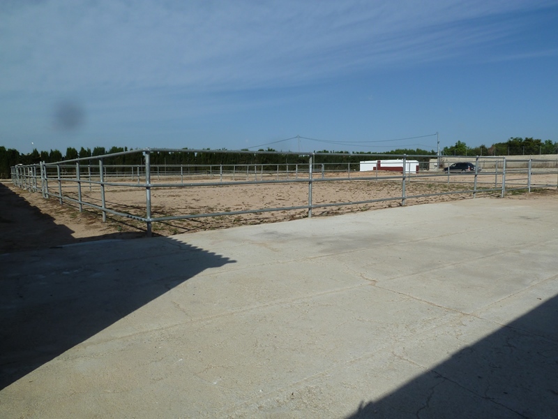 Finca rústica con gran parcela y 12 establos para caballos en San Miguel de Salinas