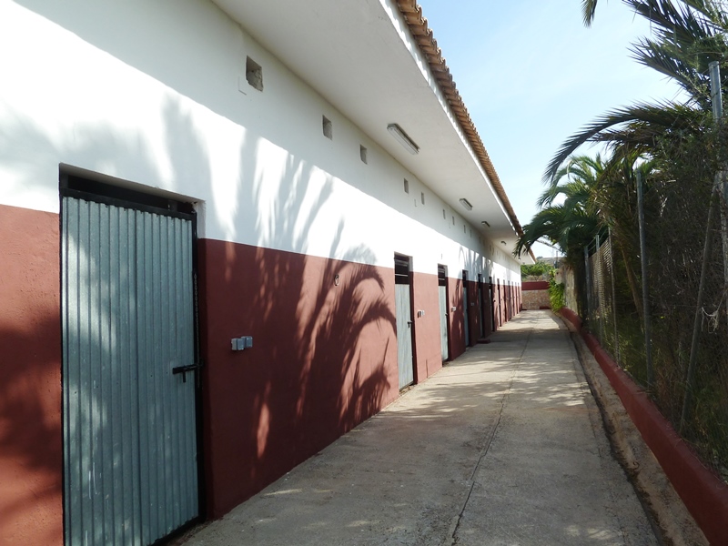 Finca rústica con gran parcela y 12 establos para caballos en San Miguel de Salinas