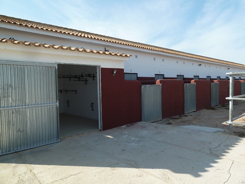 Finca rústica con gran parcela y 12 establos para caballos en San Miguel de Salinas