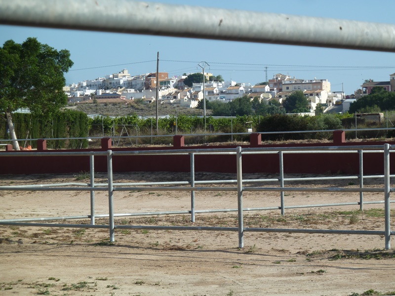 Finca rústica con gran parcela y 12 establos para caballos en San Miguel de Salinas