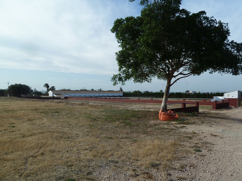 Finca rústica con gran parcela y 12 establos para caballos en San Miguel de Salinas