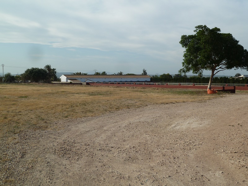Finca rústica con gran parcela y 12 establos para caballos en San Miguel de Salinas