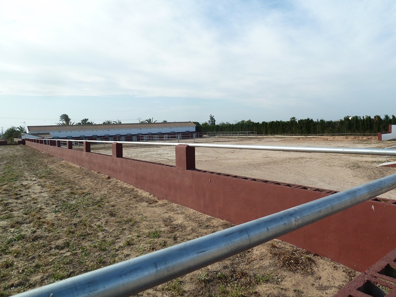 Finca rústica con gran parcela y 12 establos para caballos en San Miguel de Salinas