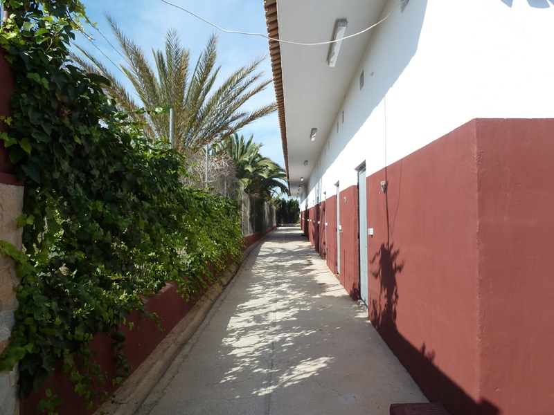 Finca rústica con gran parcela y 12 establos para caballos en San Miguel de Salinas