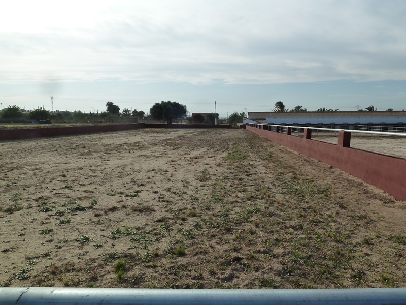 Finca rústica con gran parcela y 12 establos para caballos en San Miguel de Salinas