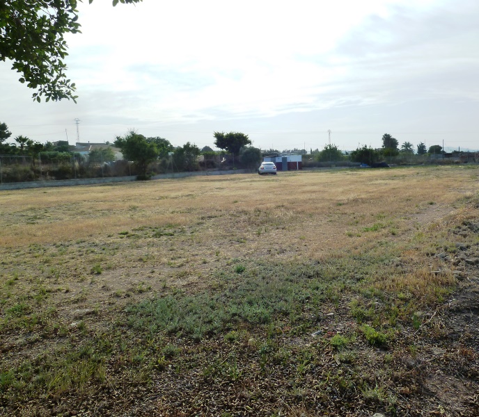 Finca rústica con gran parcela y 12 establos para caballos en San Miguel de Salinas