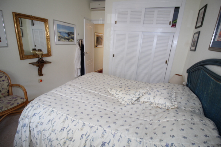 Chalet independiente en Villamartin-El Presidente con piscina privada, apartamento independiente y aparcamiento privado.