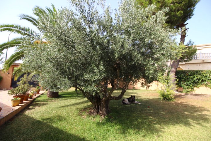 Villa in vendita a La Siesta (Torrevieja)