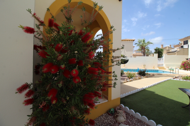 Chalet independiente con piscina privada en Villamartin - El Galan