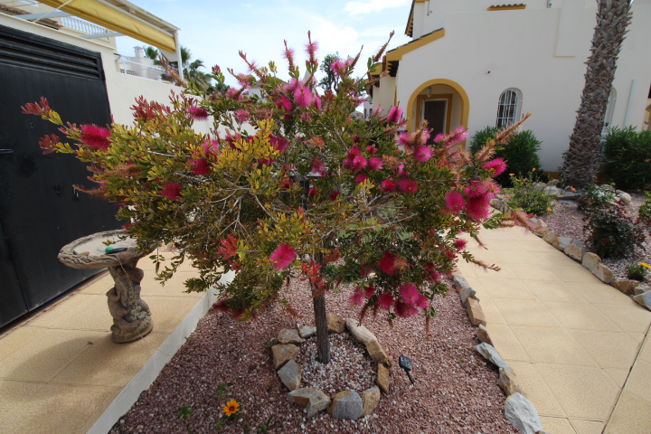 Chalet independiente con piscina privada en Villamartin - El Galan