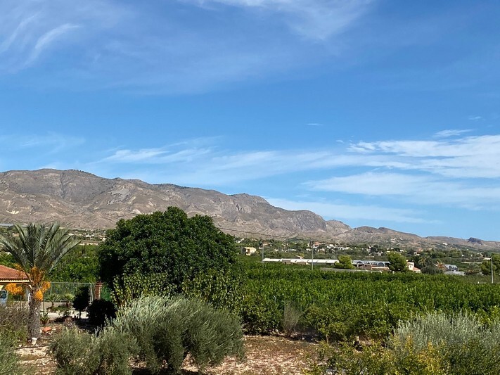 Finca de 5 dormitorios en venta en Albatera