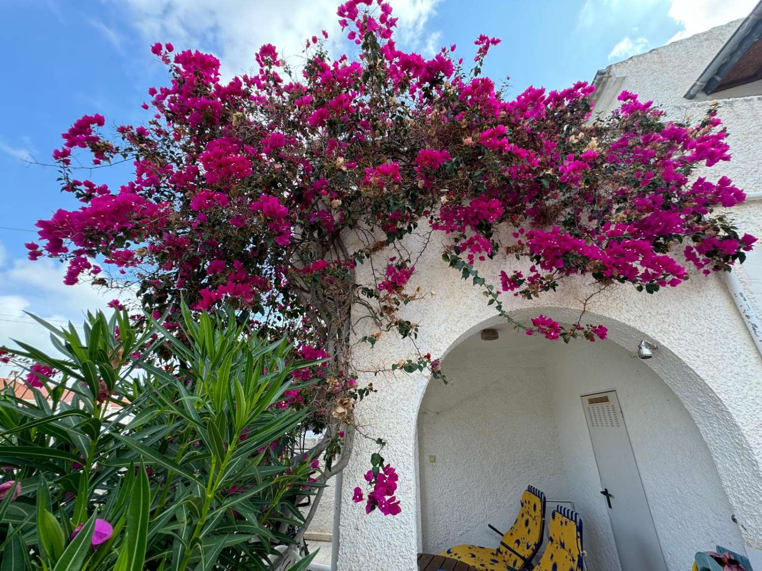 Bungalow adosado en venta en Torrevieja.