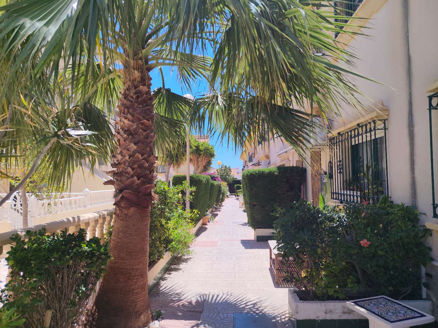 Adosado de 3 dormitorios en venta en La Zenia