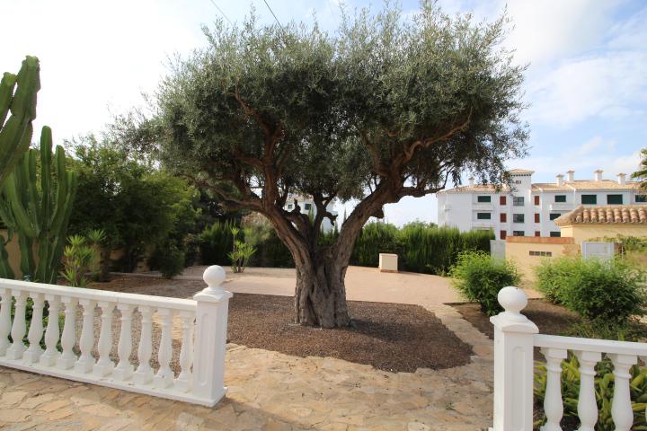 Gran chalet de una sola planta en Villamartín/ Oihuela Costa